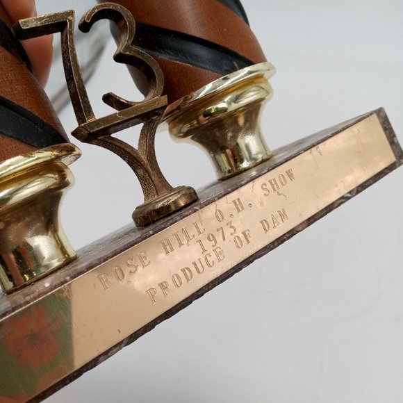 1973 Horse Show Trophy Rose Hill Kansas Vintage Collectible Statue Horseshoe - Picture 7 of 16